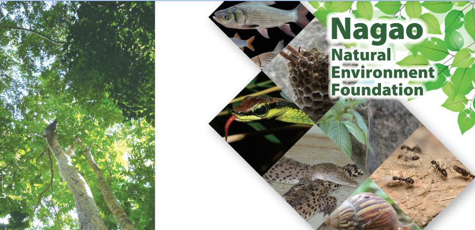 มูลนิธิ NAGAO Environmental Foundation ได้ประกาศทุน NEF Commemorative Grant Fund for Capacity Building of Young Scientists (CGF)